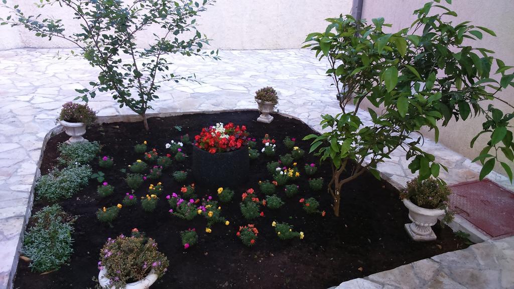 Appartement Dani Kotor