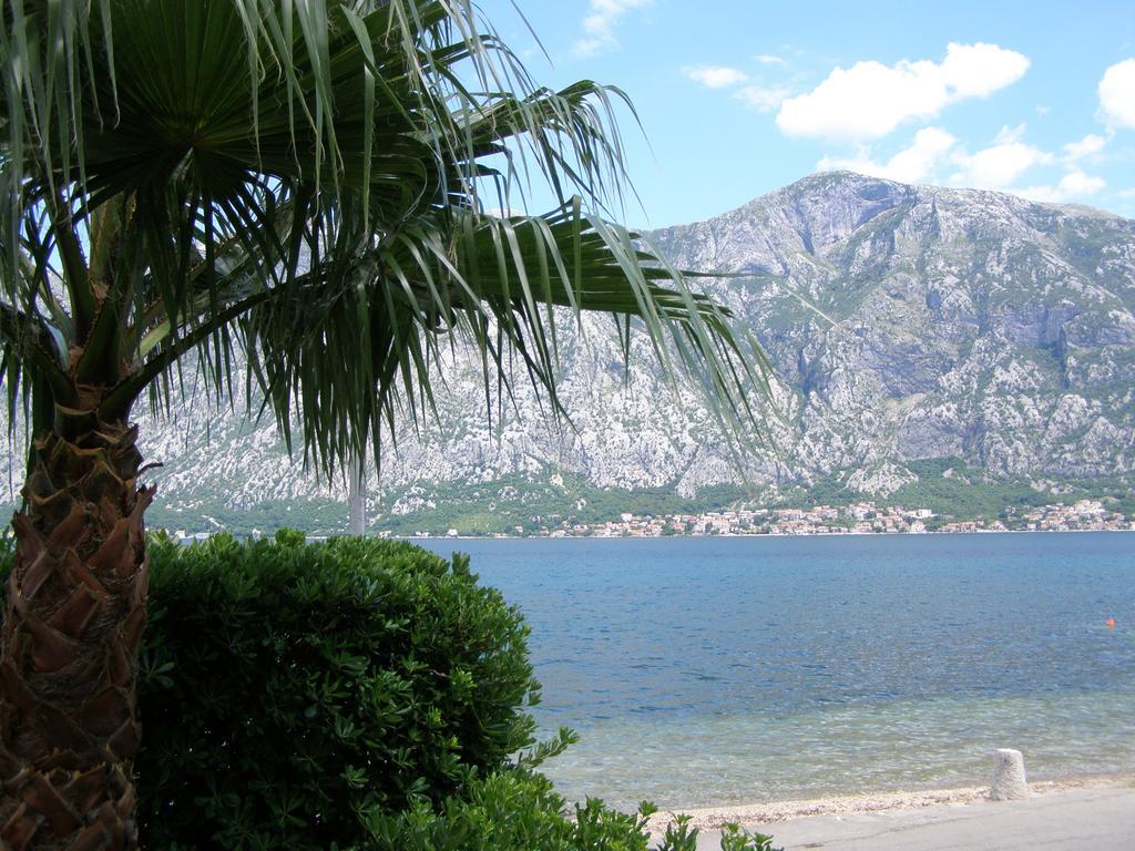 Dani * Kotor