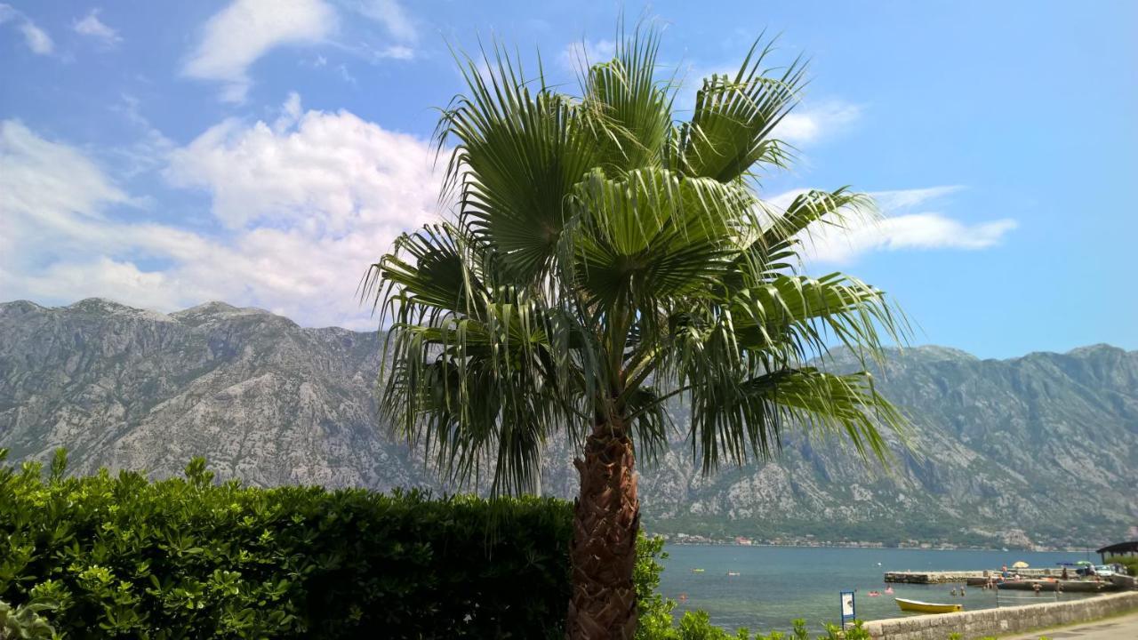 Appartement Dani Kotor
