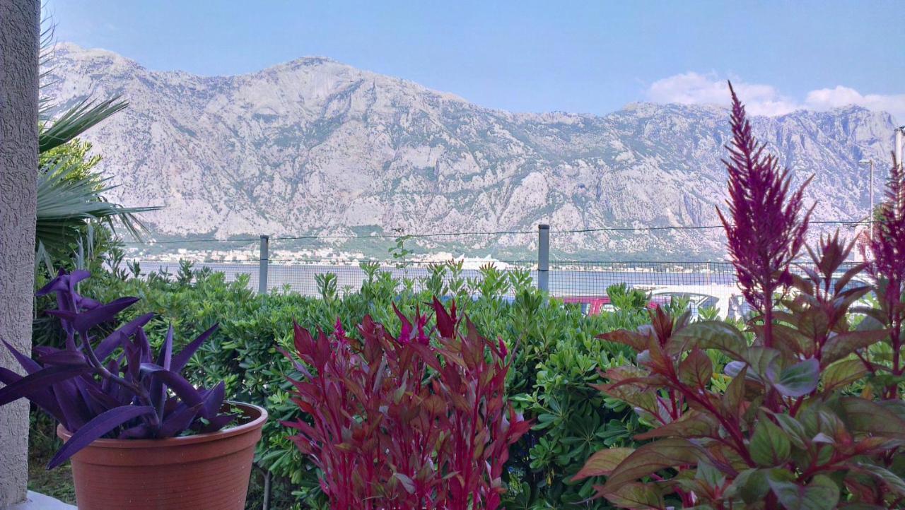 Dani Appartement Kotor